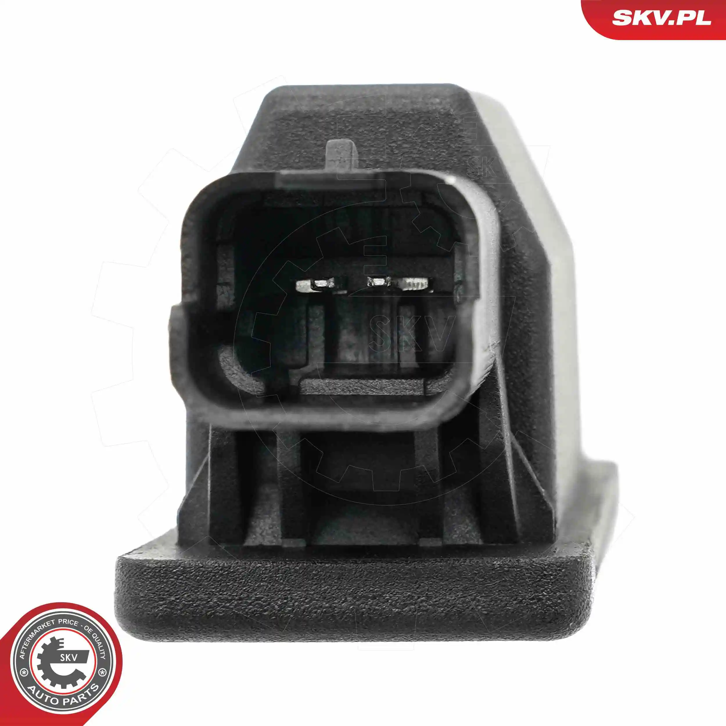 ESEN SKV 72SKV031 Licence Plate Light