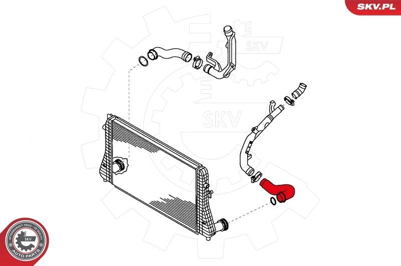 Charge Air Hose 24SKV641