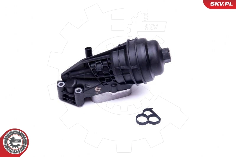 Oil Cooler, engine oil 31SKV170