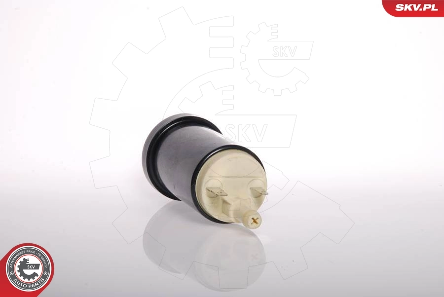 Fuel Pump 02SKV233