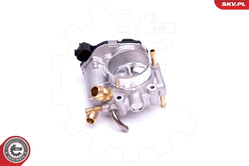 Throttle Body 12SKV074