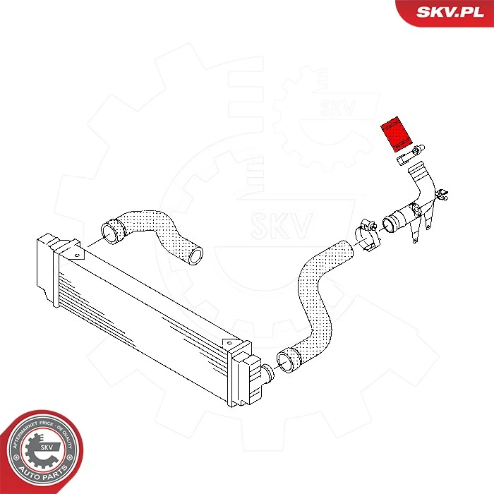 Charge Air Hose 43SKV441