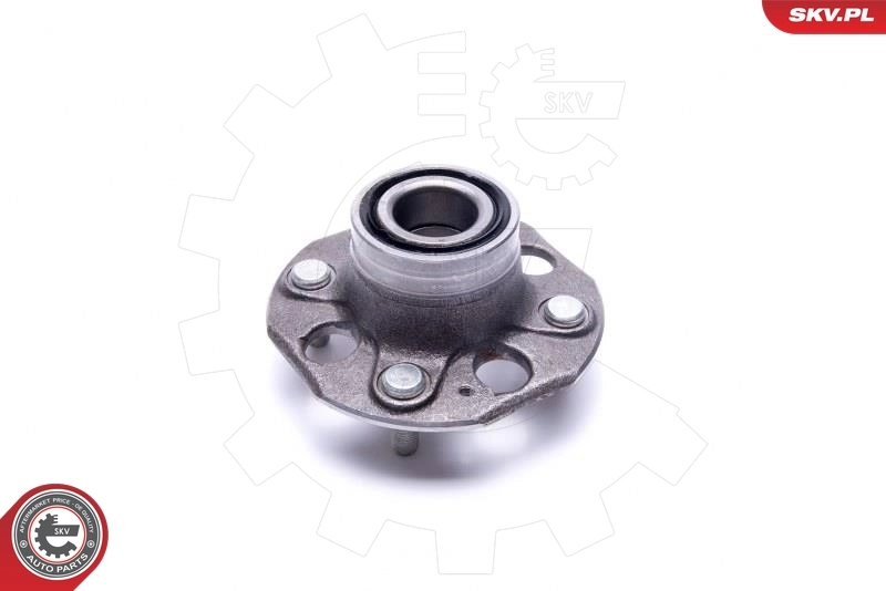 ESEN SKV 29SKV463 Wheel Bearing Kit