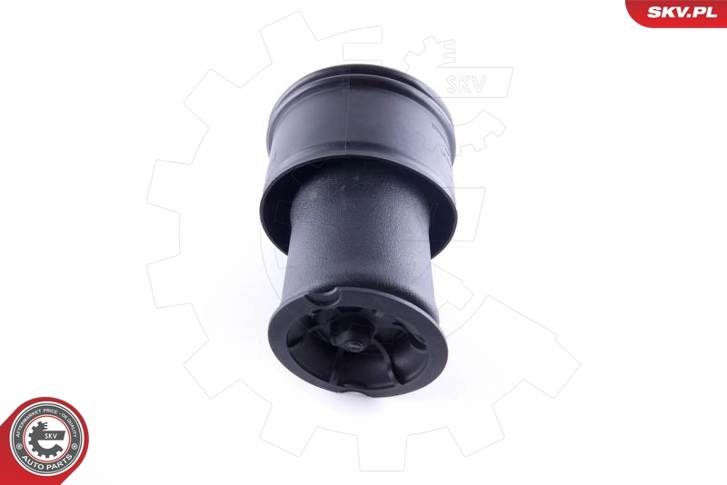Air Spring, suspension 58SKV023