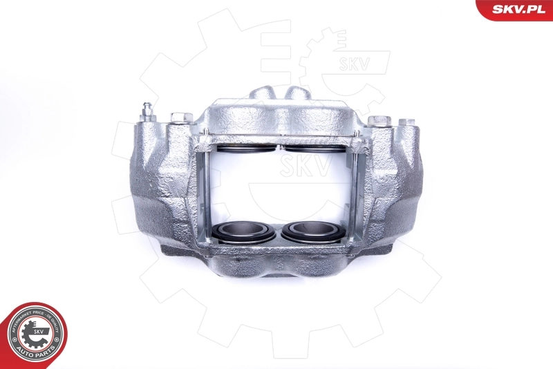 Brake Caliper 45SKV201
