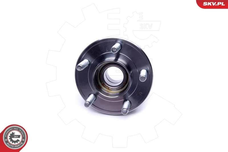 ESEN SKV 29SKV383 Wheel Bearing Kit