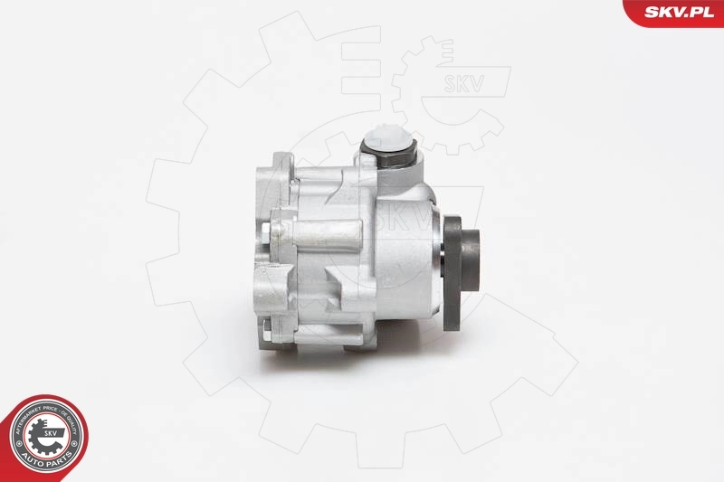 Hydraulic Pump, steering 10SKV129