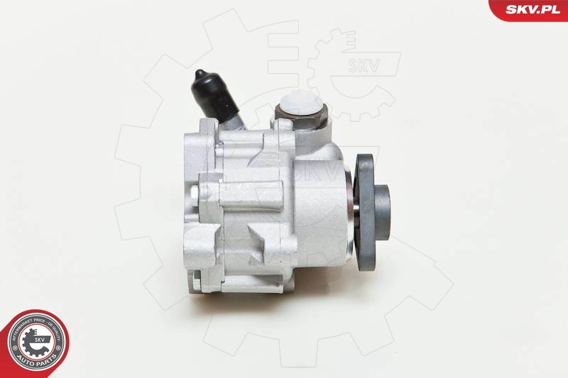 Hydraulic Pump, steering 10SKV048