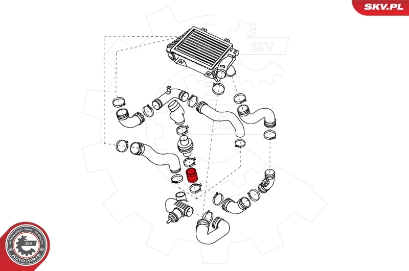 Charge Air Hose 24SKV092