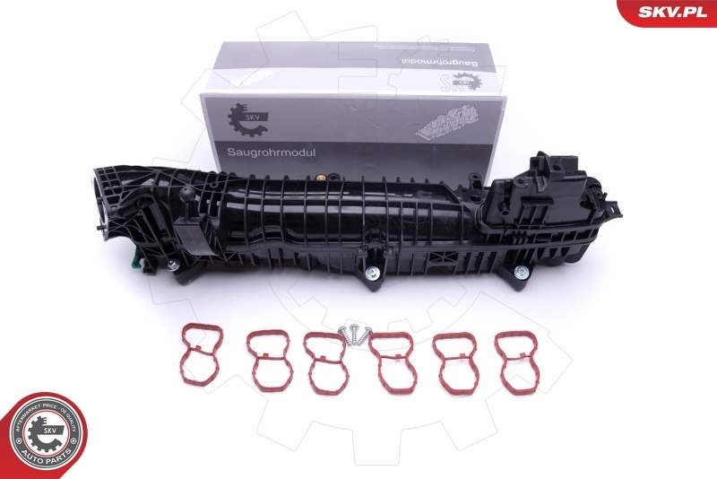 Intake Manifold Module 49SKV039