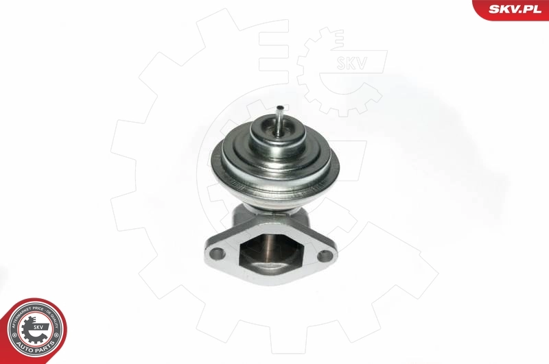 EGR Valve 14SKV049