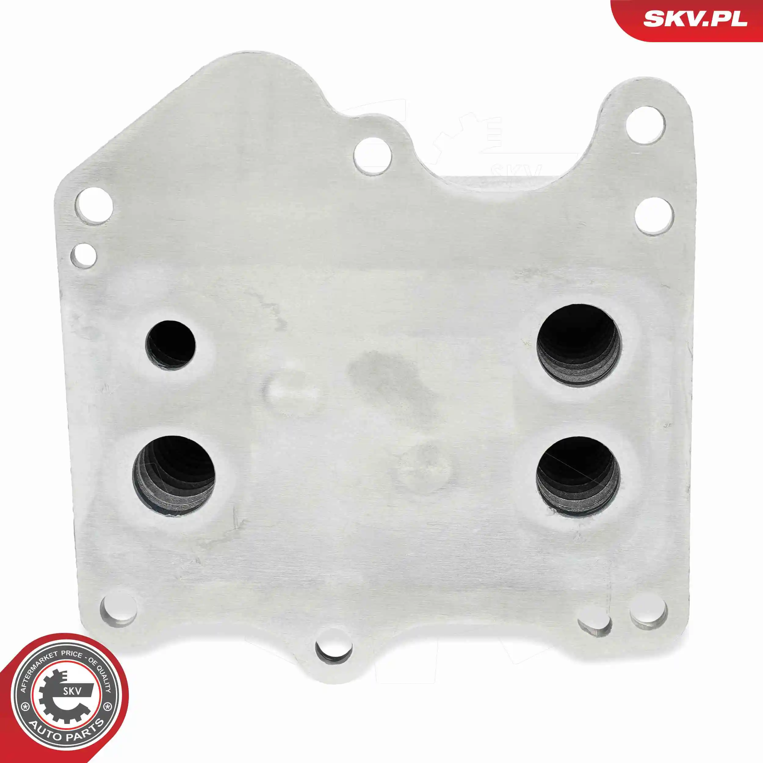 Oil Cooler, engine oil 31SKV337