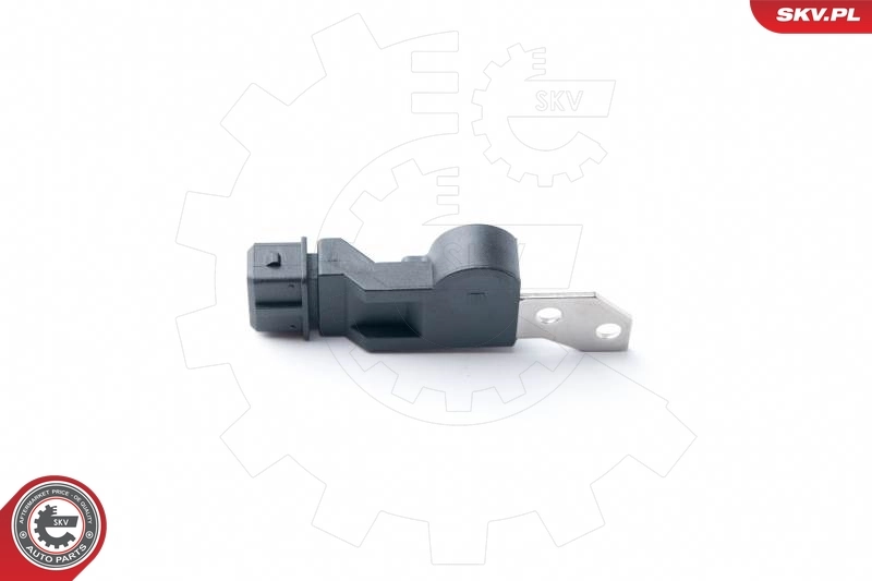 Sensor, camshaft position 17SKV250