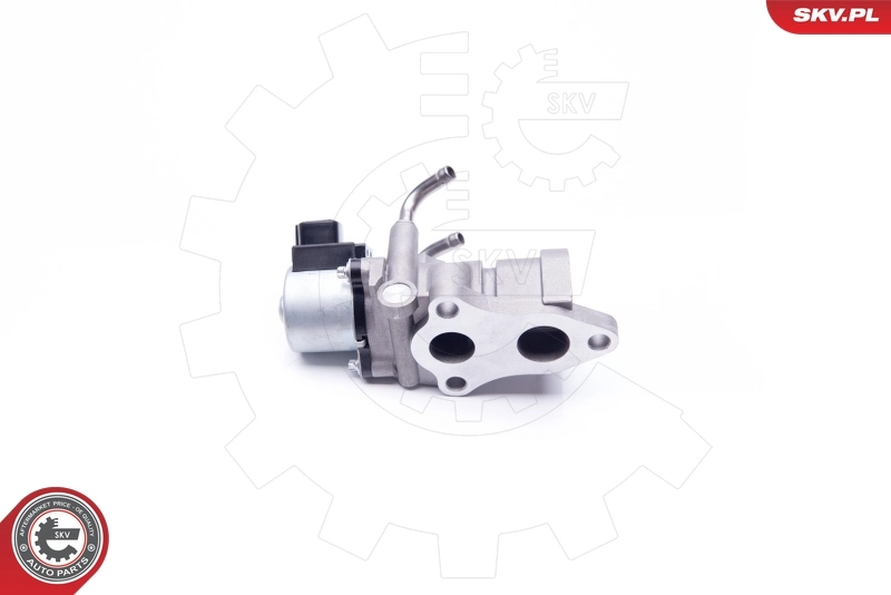 EGR Valve 14SKV190