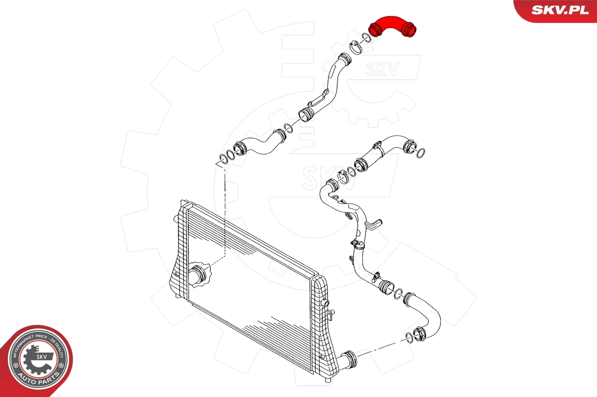 Charge Air Hose 43SKV482