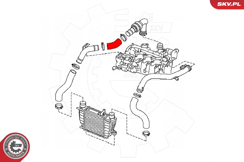 Charge Air Hose 24SKV527