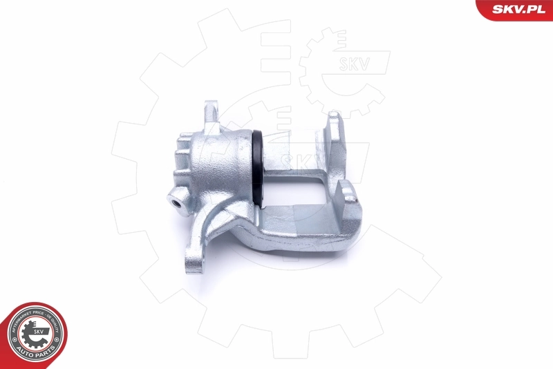Brake Caliper 46SKV231