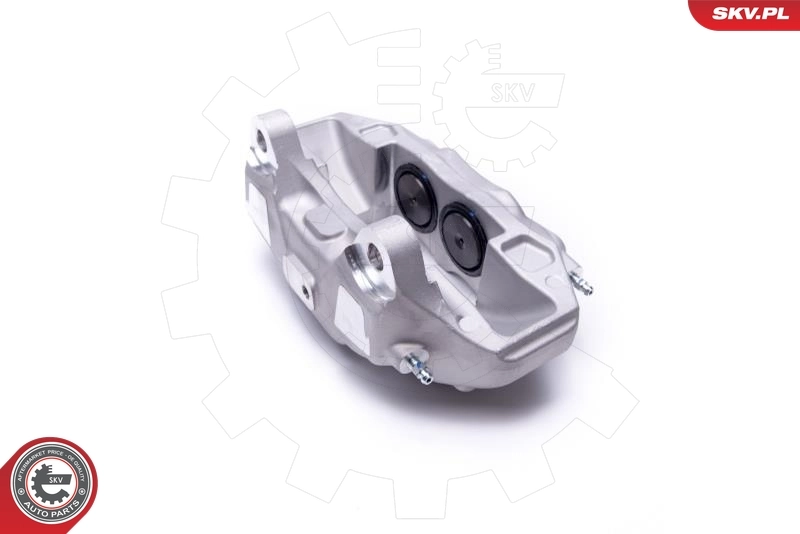 Brake Caliper 42SKV411