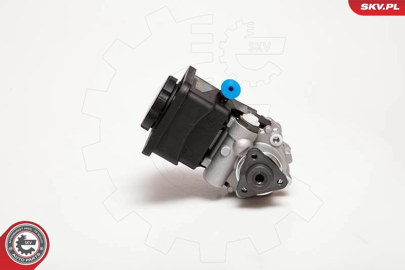 Hydraulic Pump, steering 10SKV012