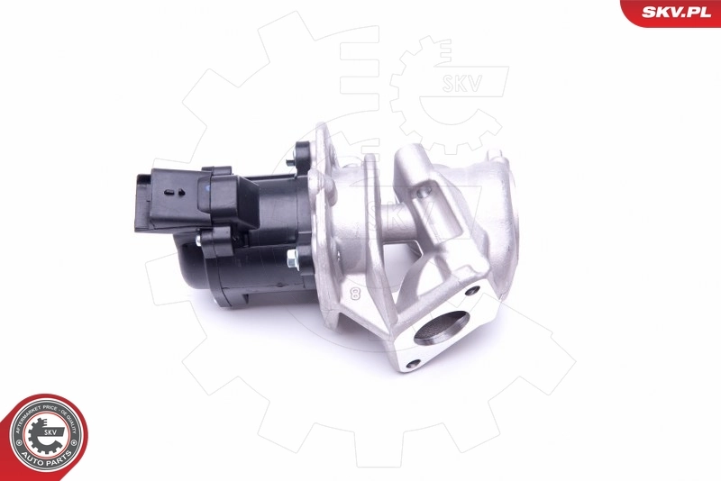 EGR Valve 14SKV202