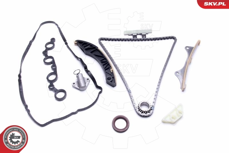 Timing Chain Kit 21SKV181