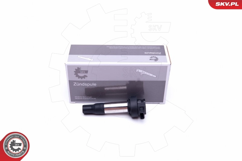 Ignition Coil 03SKV293