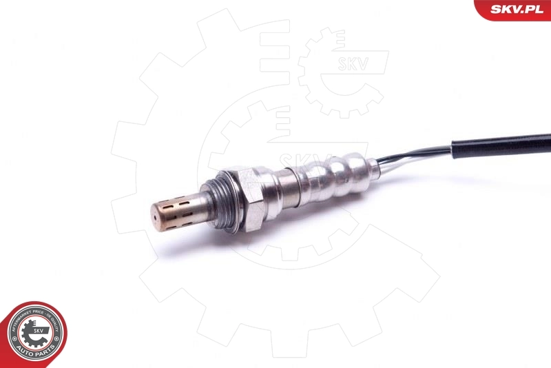 Oxygen Sensor 09SKV438