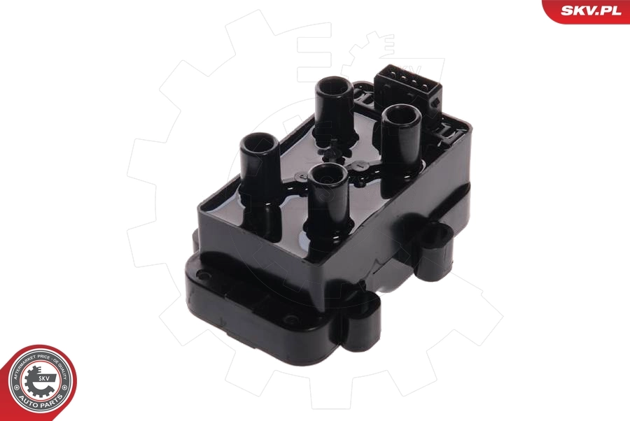 Ignition Coil 03SKV058