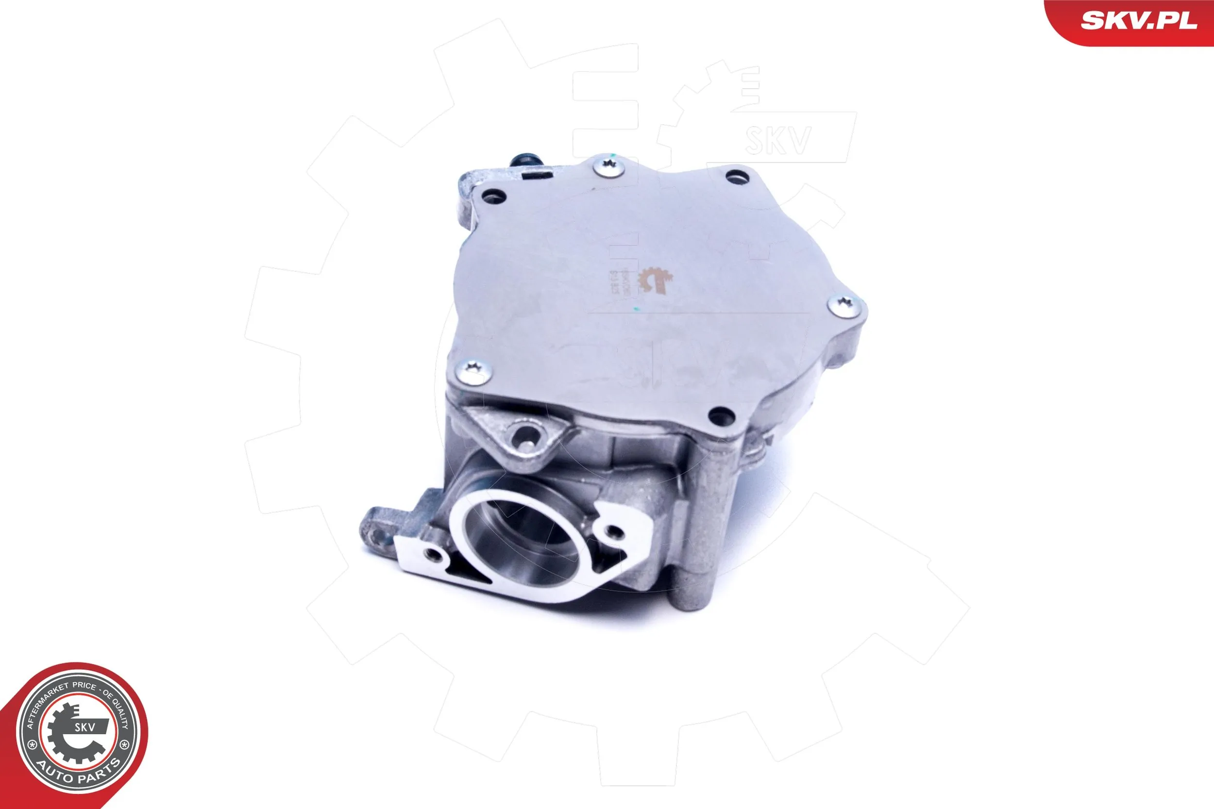 Vacuum Pump, braking system 18SKV060