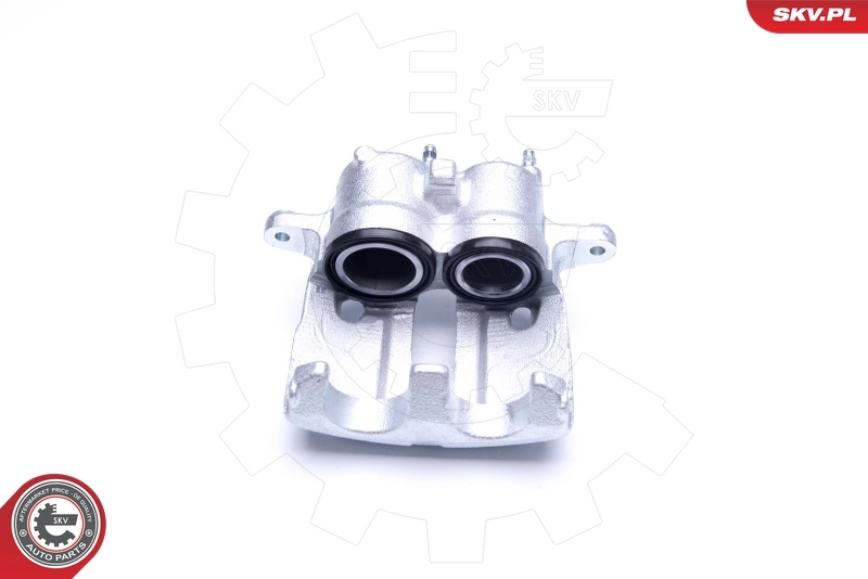 Brake Caliper 42SKV722