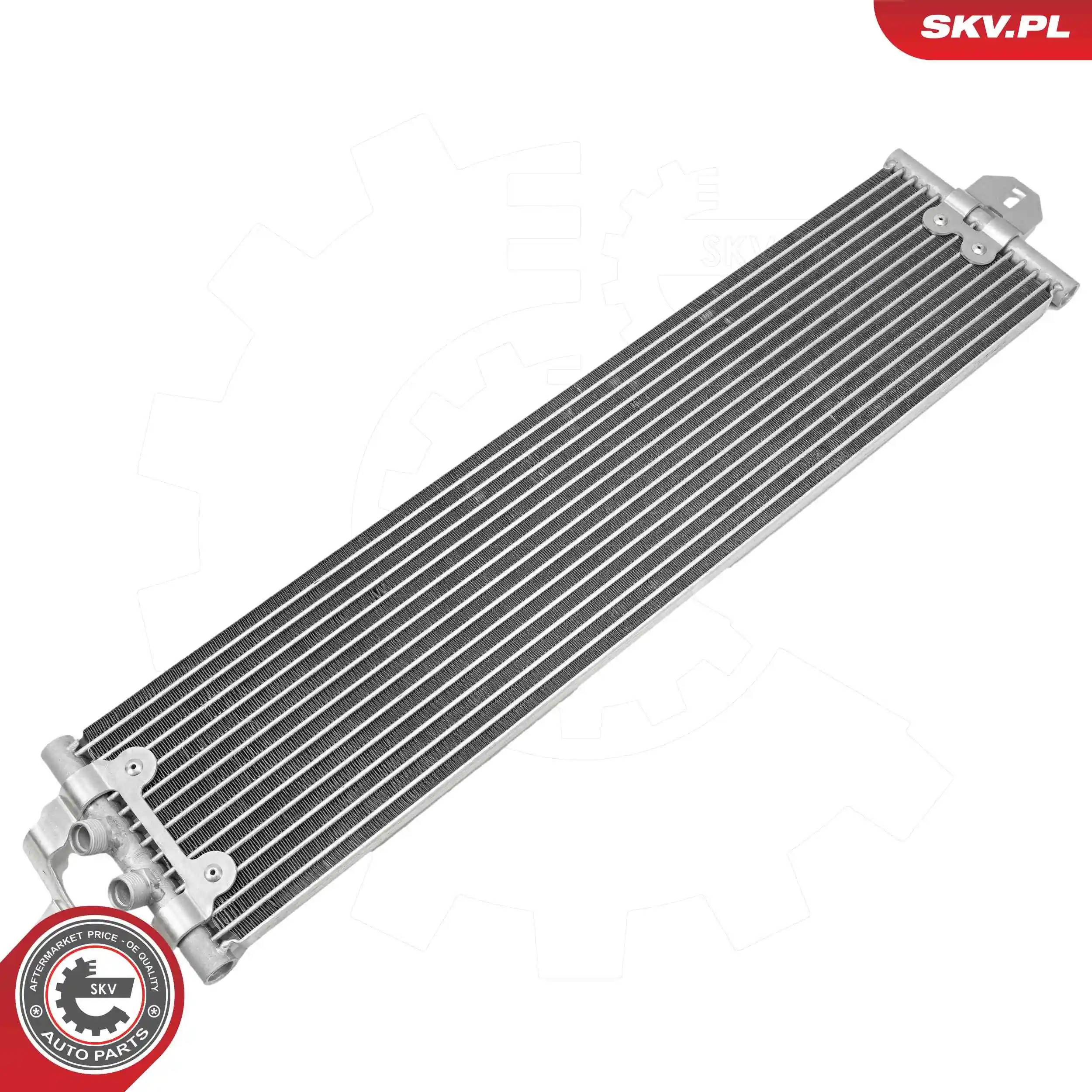 Oil Cooler, engine oil 31SKV356