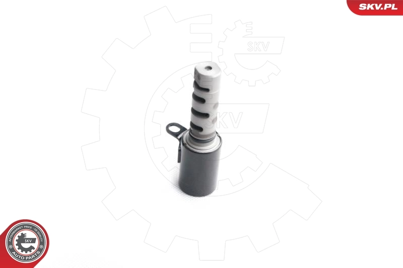 Control Valve, camshaft adjustment 17SKV362