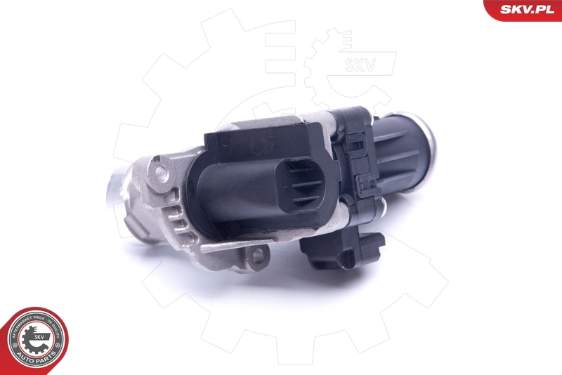 EGR Valve 14SKV185