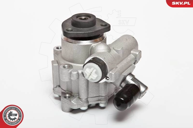 Hydraulic Pump, steering 10SKV043