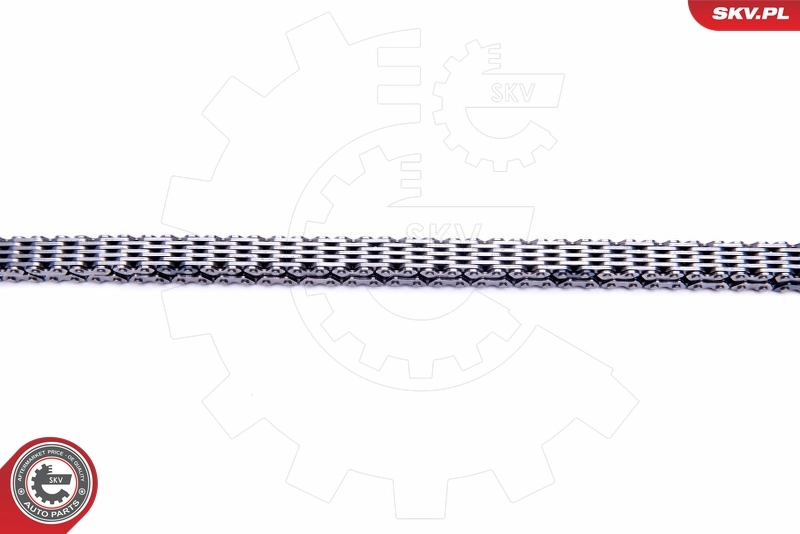Timing Chain Kit 21SKV152