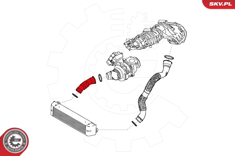 Charge Air Hose 24SKV984