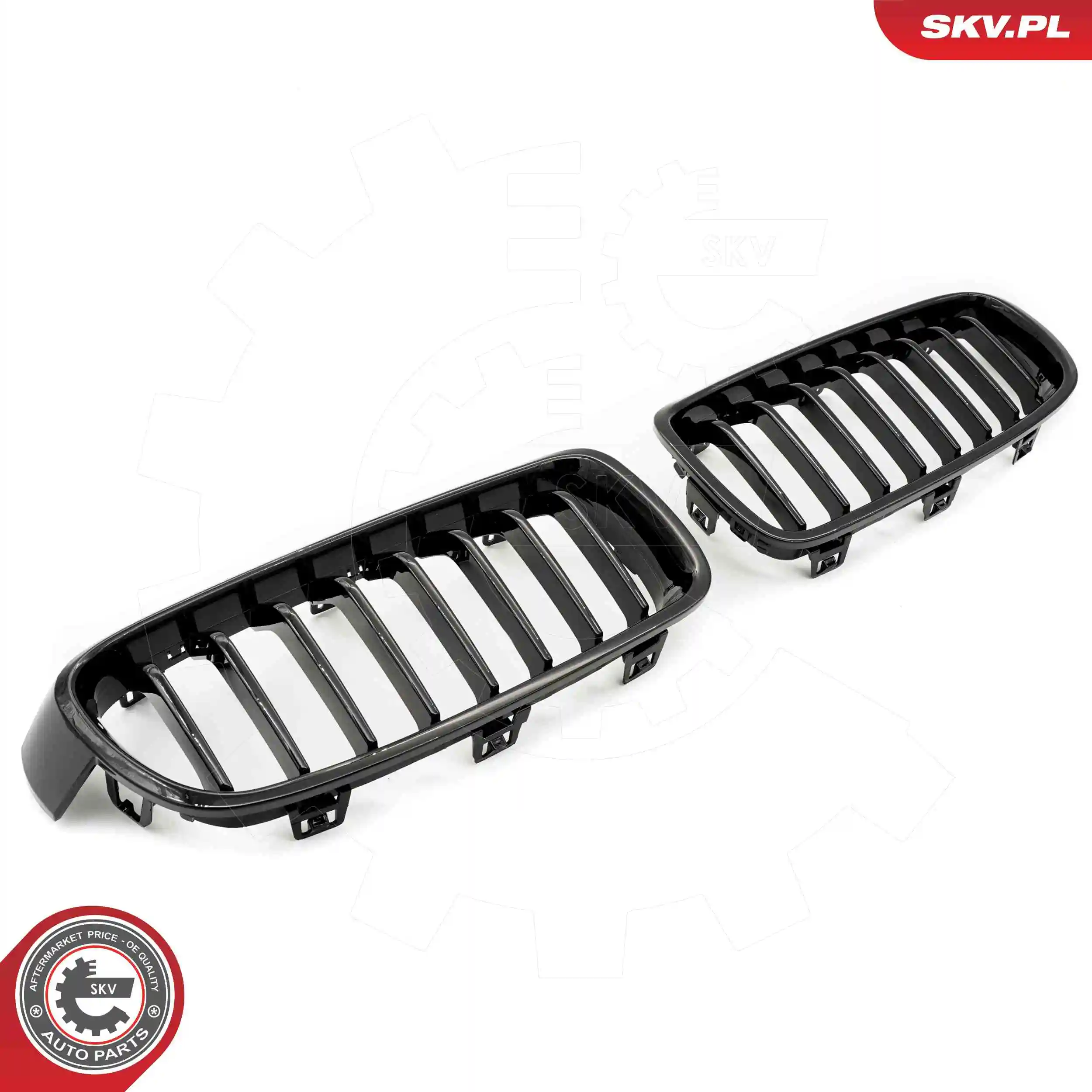 Radiator Grille 66SKV120