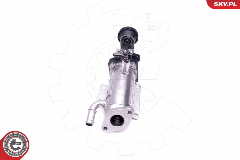 Cooler, exhaust gas recirculation 14SKV227