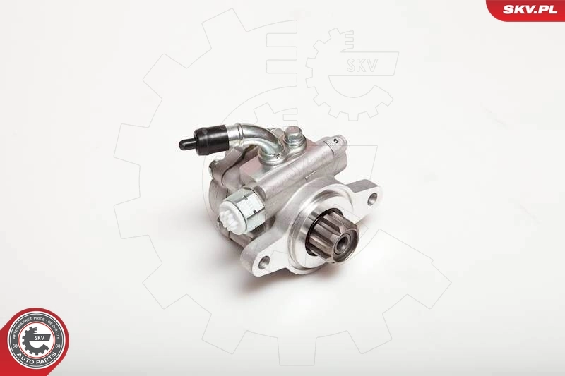 Hydraulic Pump, steering 10SKV032