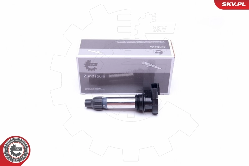Ignition Coil 03SKV294