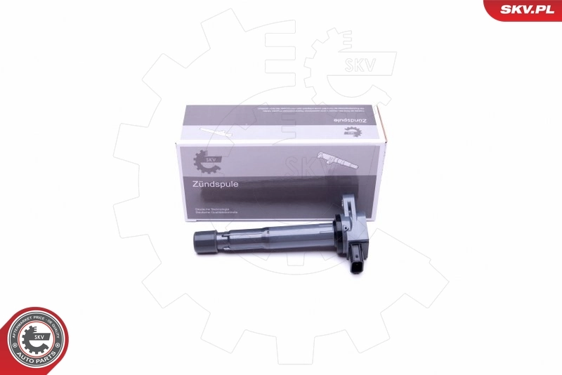 Ignition Coil 03SKV307