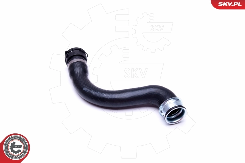 Radiator Hose 43SKV868
