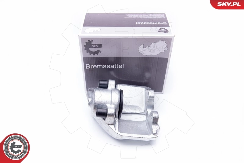 Brake Caliper 42SKV031