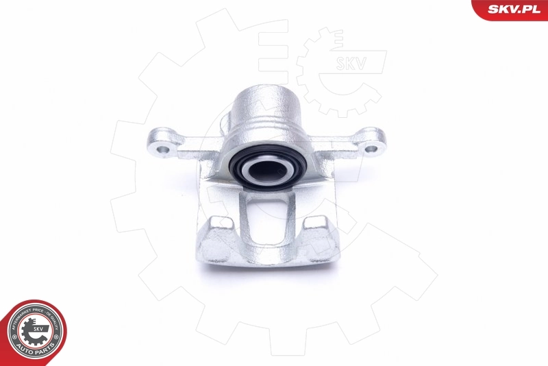 Brake Caliper 45SKV344