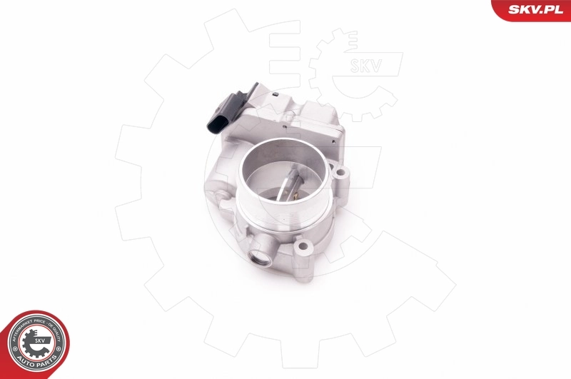 Throttle Body 12SKV056