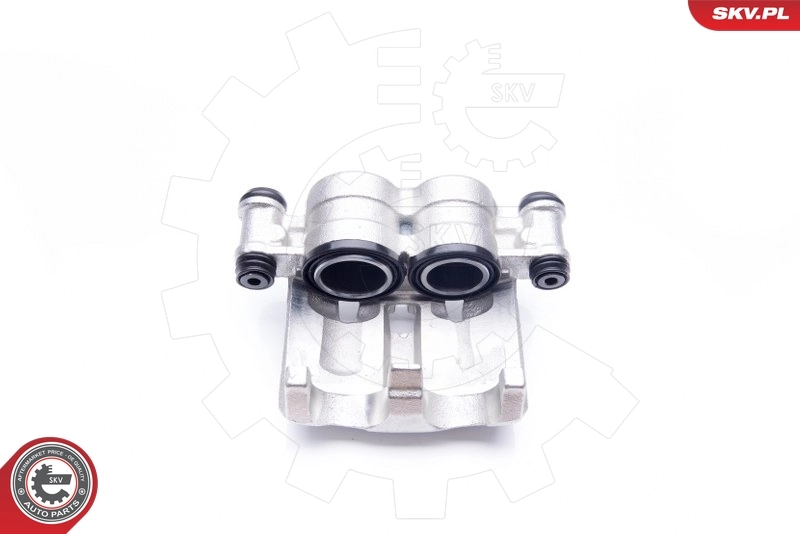 Brake Caliper 42SKV332