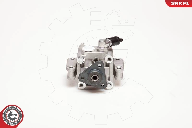Hydraulic Pump, steering 10SKV088