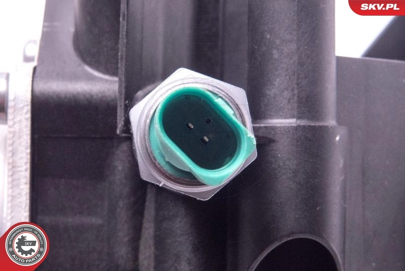 Oil Cooler, engine oil 31SKV169