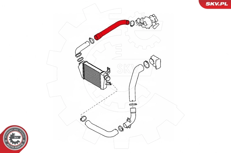 Charge Air Hose 43SKV124