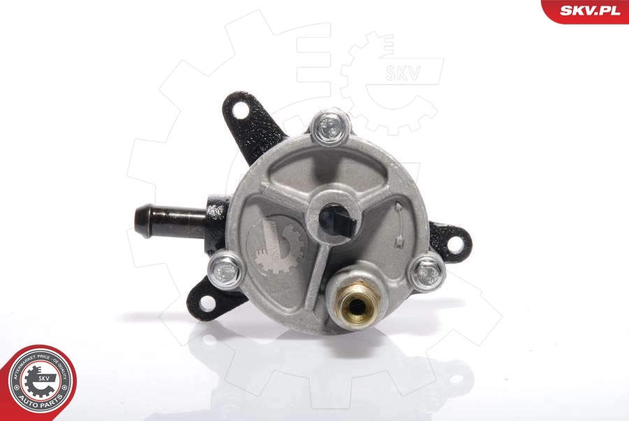 Vacuum Pump, braking system 18SKV010